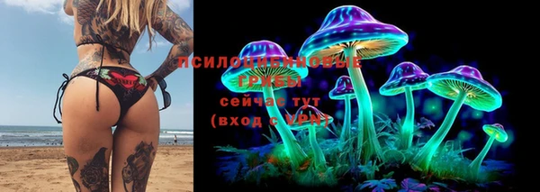 мет Кулебаки