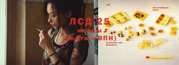 крисы Лагань