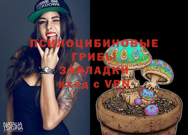мескалин Ладушкин