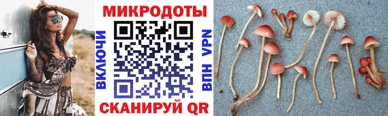 Купить закладки  Туринск  Галлюциногенные грибы Psilocybe 